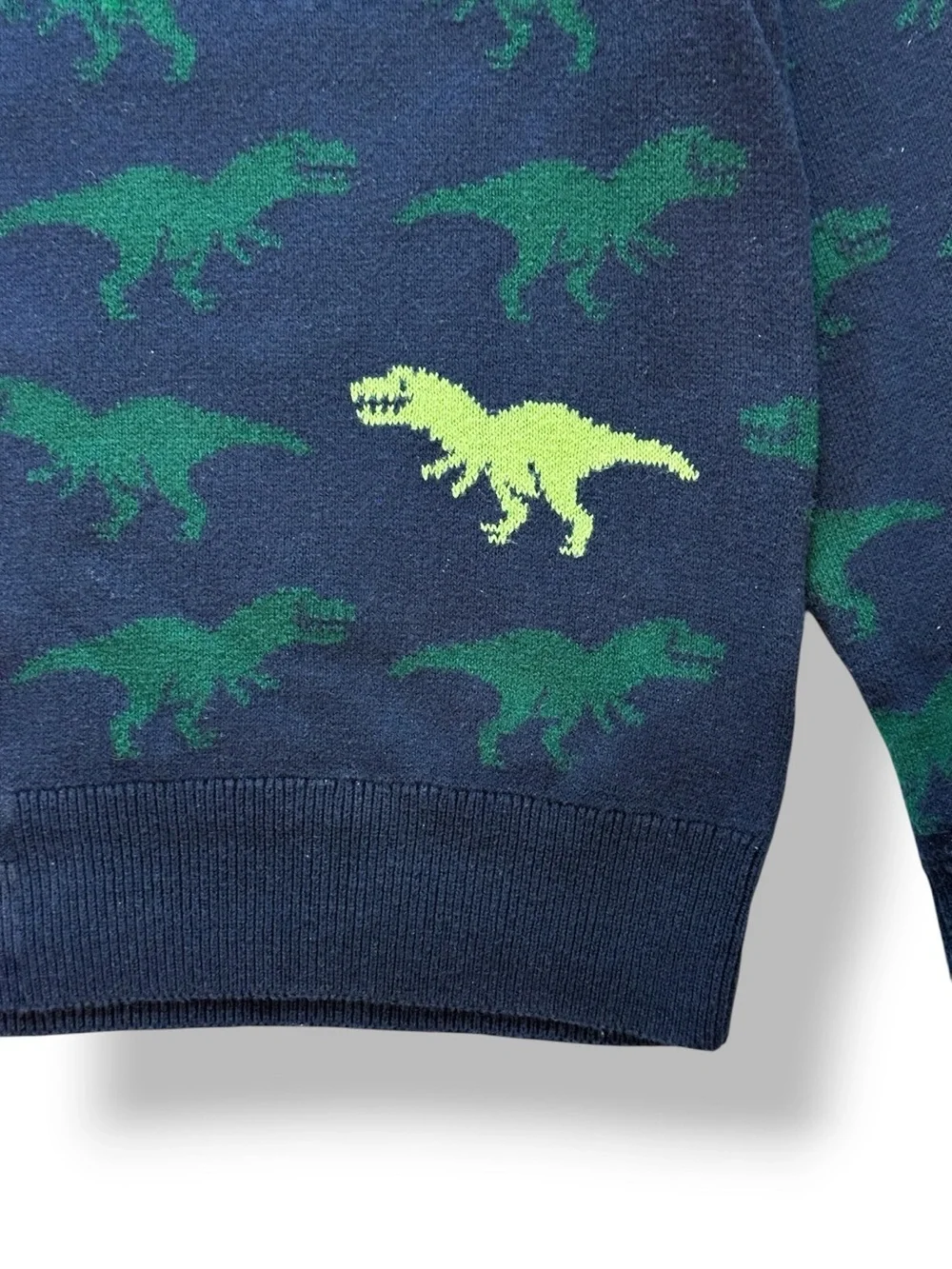 Contrast Dinosaur Knit Crewneck Sweater (5) 🦖